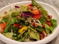 朱记大拌菜-朱记乳鸽王·非遗石岐乳鸽·全鸽宴(大兴旗舰店)