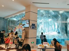 -帝企鹅自助餐厅•儿童岛•真企鹅(长隆企鹅酒店)