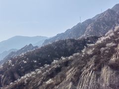 -北京凤凰岭