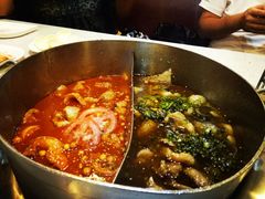 -舒来喜鱼锅(伊河路店)