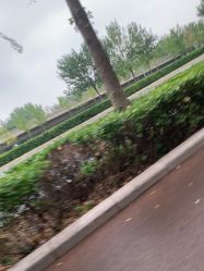 -HEYAN长风荷妍专业脱毛美肤
