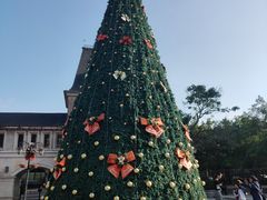 -中旅阿那亚九龙湖·公主酒店