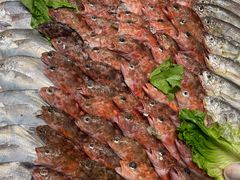 -高佳庄·舟山海鲜(海景旗舰店)