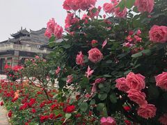 -武汉园博园(武汉自然博物馆)