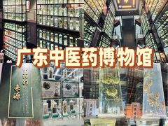 -广东中医药博物馆