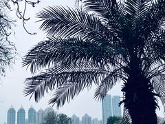 -东山湖公园