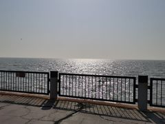 -东堤公园
