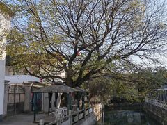 -丝绸小镇荻港古村