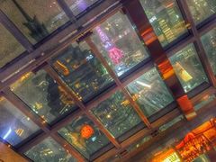 -上海柏悦酒店·世纪100牛排馆