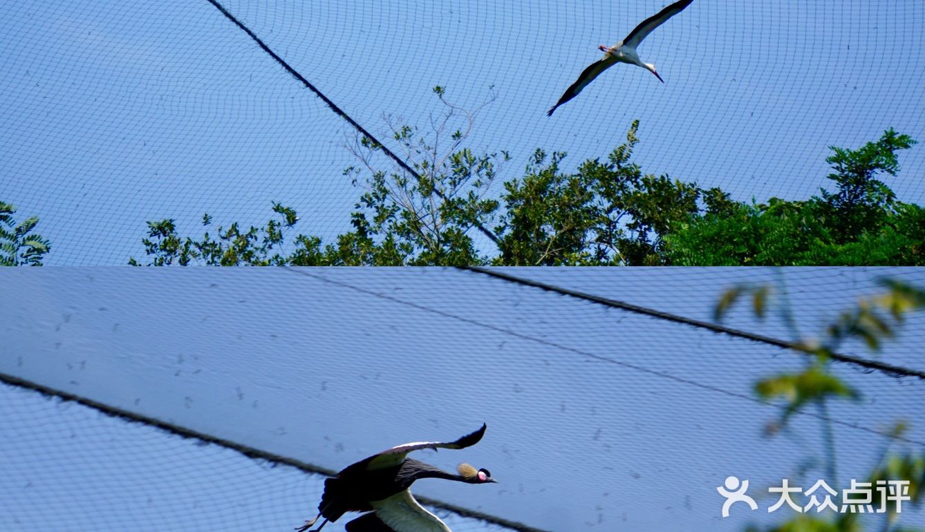 大蜀山野生动物园|去找动物朋友们冒险吧
