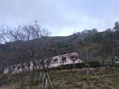 -小南山公园