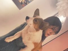 -浣熊柯尔鸭土拨鼠·电玩咖