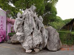 -南汇桃花村