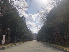 -北海道神宫