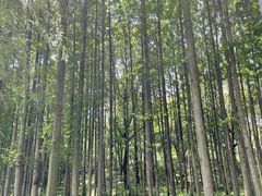 -渤公岛生态公园