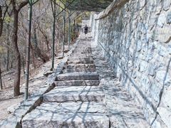 -香山公园
