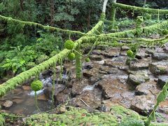 -灵栖洞天
