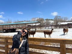 -鄂尔多斯野生动物园