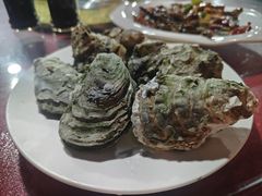 -罗源湾8号渔排
