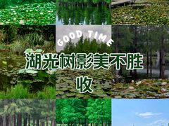 -白鹭湾湿地公园