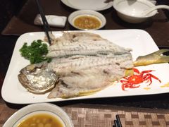 -金燕岛潮州酒楼