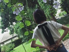 -莓园冰淇淋店