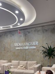 -上海首尔丽格医疗美容医院