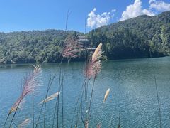 -云南屏边大围山国家公园