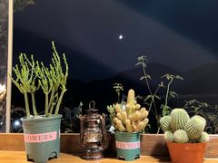 -马灯部落·西湖边的创意山景餐厅(虎跑动物园店)