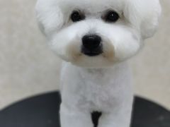 -乐琪宠物(青塔西路店)