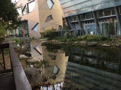 -活水公园