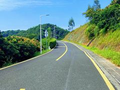 -黄埔油麻山森林公园