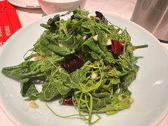 -小山城·馋嘴蛙(亚运村店)