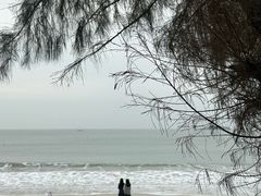 -马銮湾景区
