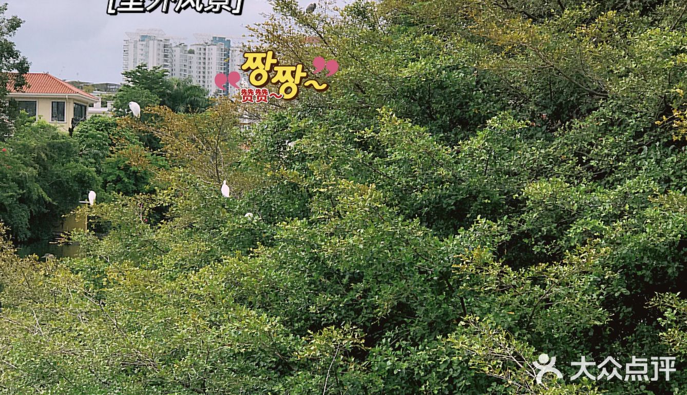 深圳美食/望湖叹茶🍵美景当前，美味加倍[调皮]