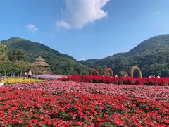 -广州市石门国家森林公园