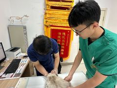 -派美特宠物医院·核磁CT·骨科肿瘤·疑难转诊(沈农禾丰店)