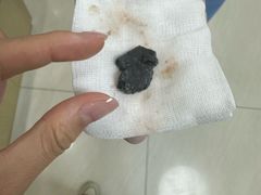 -美联众合动物医院·24h京西诊疗中心