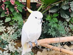 -南宫五洲植物乐园