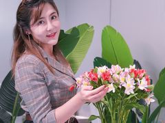 -盒马X会员店(上海森兰商都店)