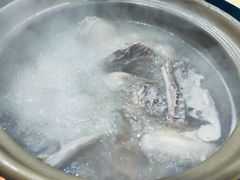 -石岐鸽师傅餐厅(石岐总店)