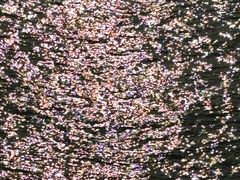 -洞头先锋女子民兵连纪念馆