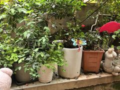 -鱼乐岛餐厅·户外花园主题餐厅