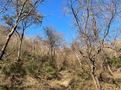 -北京西山国家森林公园