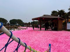 -苏州太湖西山岛开心农场