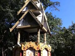 -莫里热带雨林景区