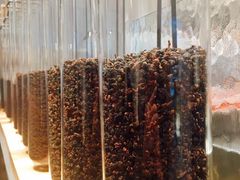 -喜茶(深圳海岸城店)