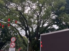 -广西师范大学(育才校区)