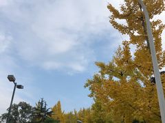 -四川大学(望江校区)