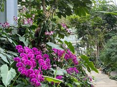 -郑州植物园